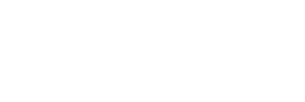 Diario Sur